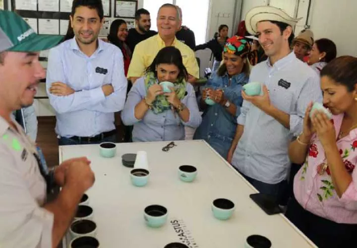 Café Geisha de Panamá es reconocido a nivel mundial. Archivo