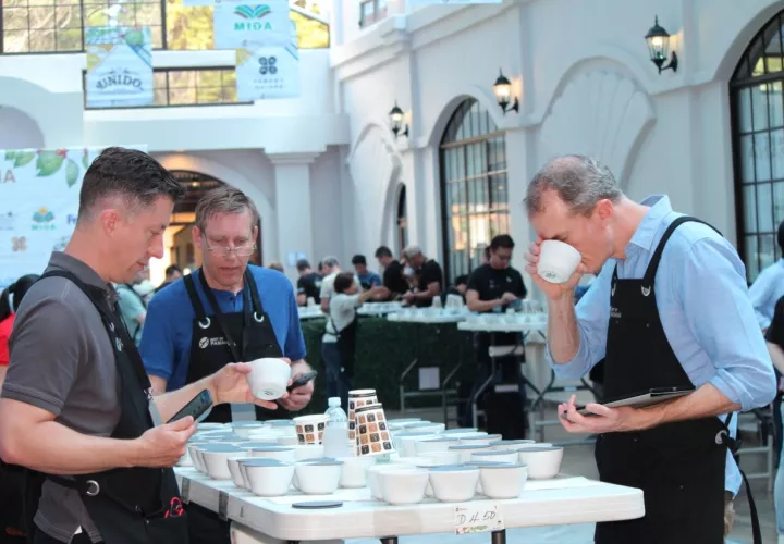El logro alcanzado es un reconocimiento para Panamá de tener el mejor café del.mundo. Foto: José Vásquez. 