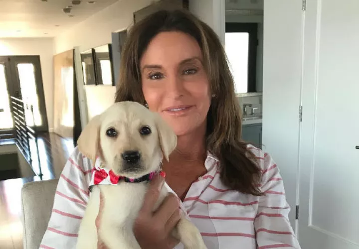 Caitlyn Jenner. 