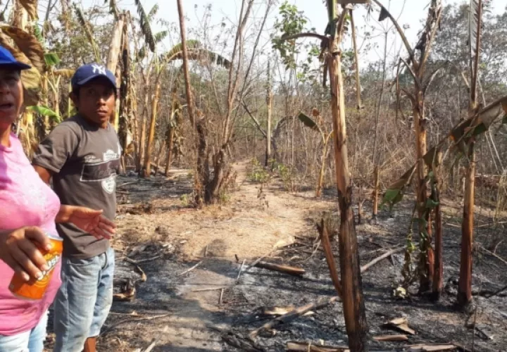 Ruth Vega hermana del difunto Apolonia Vega y el vecino Artura Aguilar, recorren la finca incendiada donde fue encontrado el señor Apolonio. Foto Cortesía/Elena Valdéz