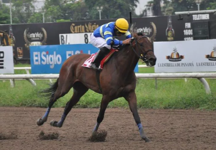 Candy Sugar Lady en una carrera preparatoria para el Día de la Madre.