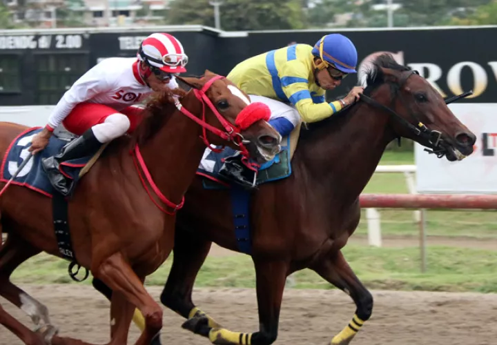 Candy Sugar Lady superó ligeramente a Uxia P. en el clásico del 2017.
