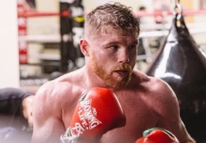Canelo no se tomó bien las críticas.