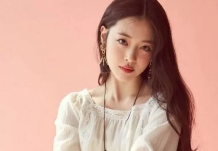 Sulli.