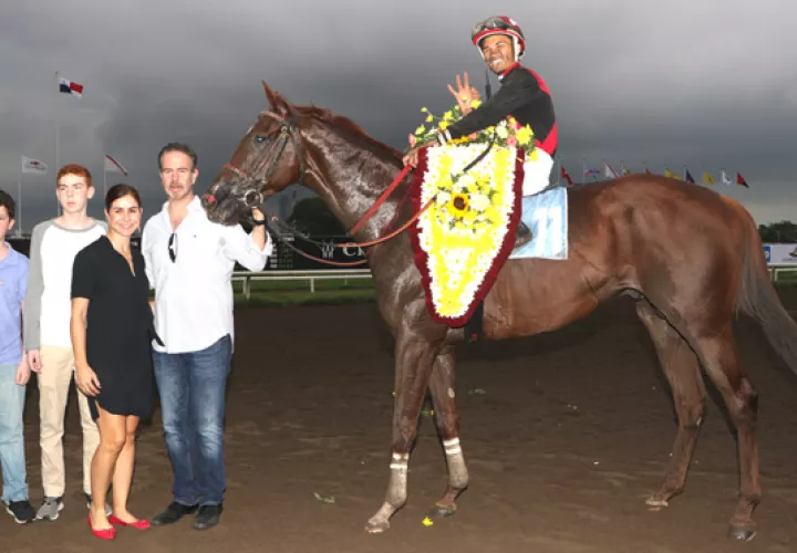 Capocostello  es considerado un de los mejores caballos en Panamá.