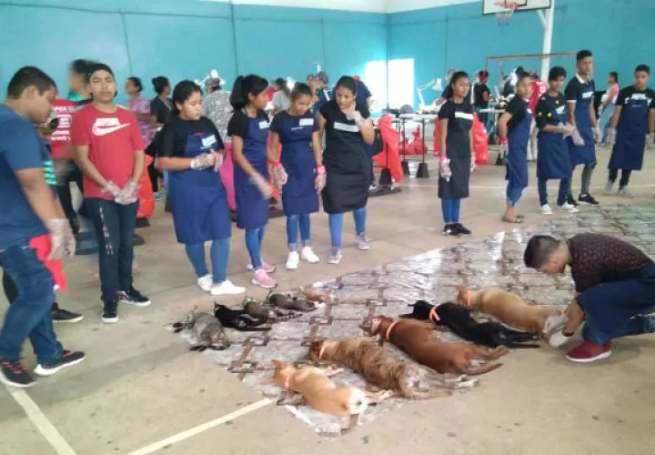 El Grupo Arich  de la Chorrera junto a Spay organizan la jornada. Foto: Luis Ávila.