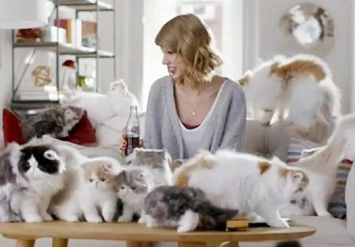 Taylor Swift es una de las que se ha declarado como una 'cat lover'.