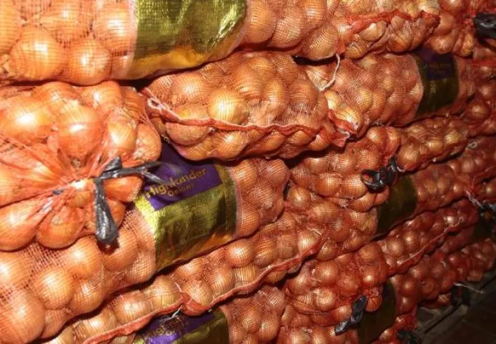De septiembre a diciembre disminuye la producción de cebolla. Archivo