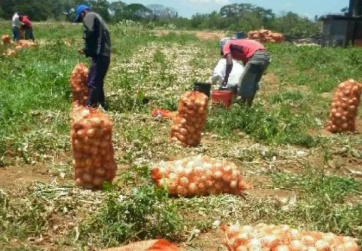 Los productores piden a las nuevas autoridades que actúen para recobrar la confianza 