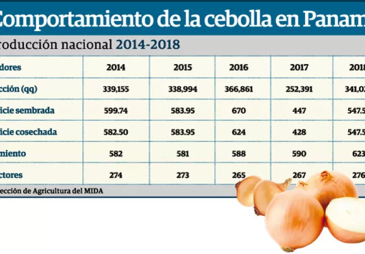 Los precios del kilo de la cebolla a nivel mundial varían según los mercados.