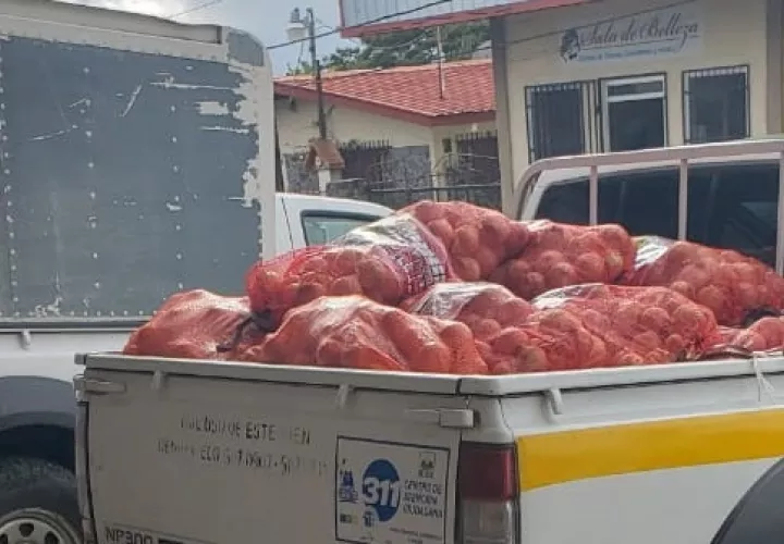 Se busca proteger a los productores, ya que el objetivo es salvaguardar las condiciones fitosanitarias en las áreas de producción. Foto/José Vásquez