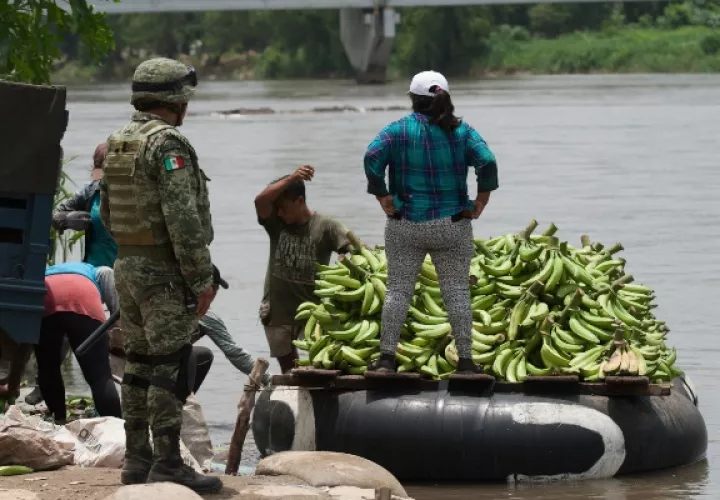 Los hechos se registraron en el kilómetro 071+000 de la carretera Tapanatepec-Ocozocoautla, cuando agentes federales realizaron una revisión rutinaria al tractocamión. FOTO/EFE