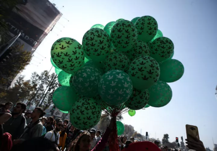 Miles de chilenos se manifestaron este sábado en el centro de Santiago para reclamar cambios urgentes en la regulación y el acceso al cannabis medicinal y recreativo.