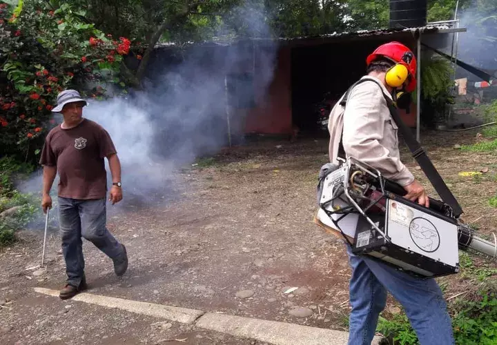 Los insecticidas solo eliminan parte de los mosquitos adultos. 