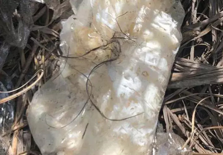 En medio de la limpieza de playa encontraron un paquete con presunta cocaína. Foto/Mayra Madrid
