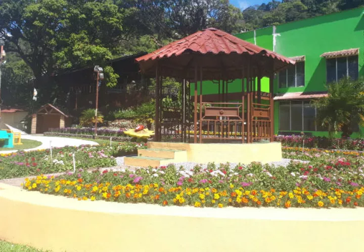 Los jardines están a su máxima floración, lo cual llama la atención de las personas que visitan la feria en Boquete, Chiriquí.