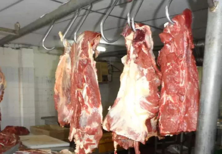 Los veterinarios  están dispuesto al diálogo a través de la dirigencia nacional, quien desde un inicio lleva adelante los acuerdos y los cuales no han sido cumplidos. Foto/José Vásquez
