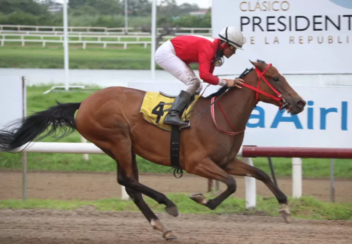 Queen Ceci será la favorita para ganar.