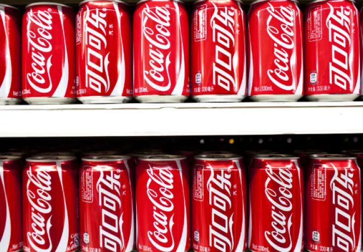 El International Life Sciences Institute fue creado hace 40 años por un alto ejecutivo de Coca-Cola. Foto/ Shiho Fukada para The New York Times.