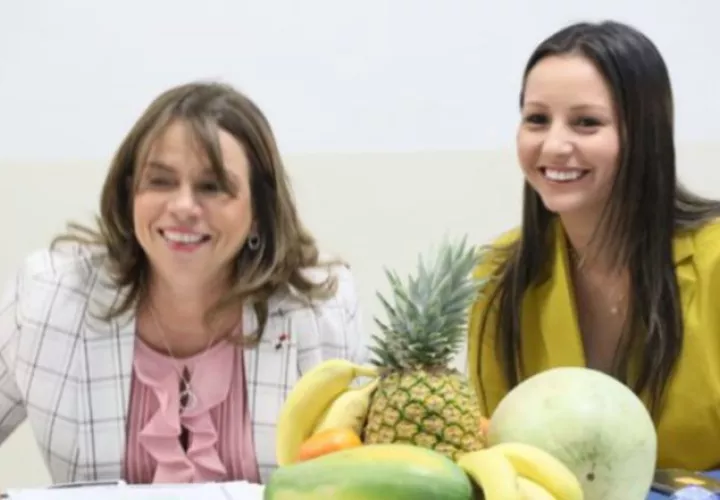 Colmena es un proyecto dirigido a combatir la pobreza en diferentes sectores del país.