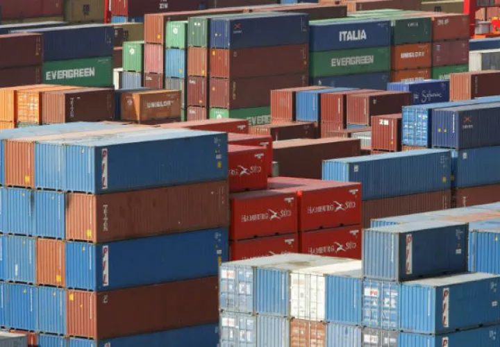 Las exportaciones colombianas de aguacate crecieron durante el primer semestre de este año. Foto/EFE