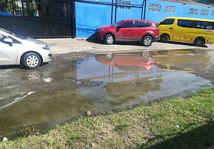 Iracema Ayarza de Dale, gobernadora designada manifestó que cada una de las situaciones antihigienicas y que se den como resultado de los trabajos de la renovación urbanase exigirá la empresa resolverlo lo más pronto posible.