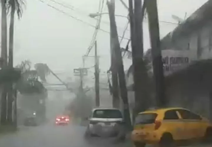 El viento también ocasionó que una palmera cerca al parque Sucre cayera sobre el sistema eléctrico.