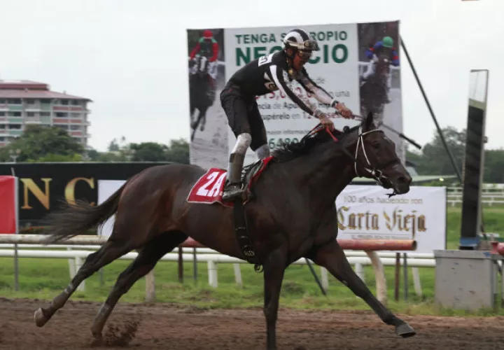 Coltimus Prime iba a competir en la copa de Importados
