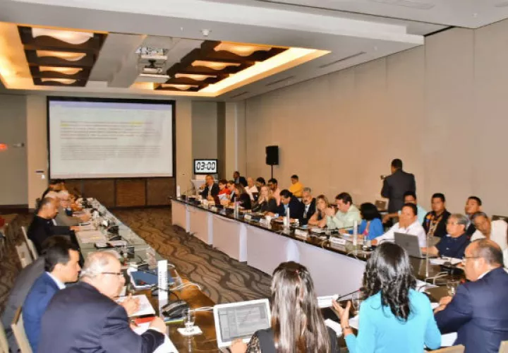 El documento aprobado  por Concertación contiene también aspectos donde no hubo consenso.