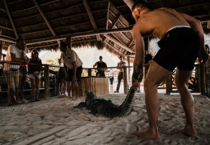 Conor McGregor frente al caimán Foto @thenotoriousmma