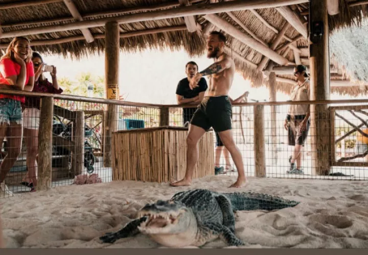 Conor McGregor frente al caimán Foto @thenotoriousmma