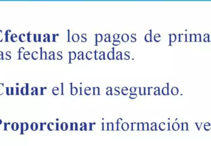 Superintendencia de Seguros recomienda cumplir con las obligaciones