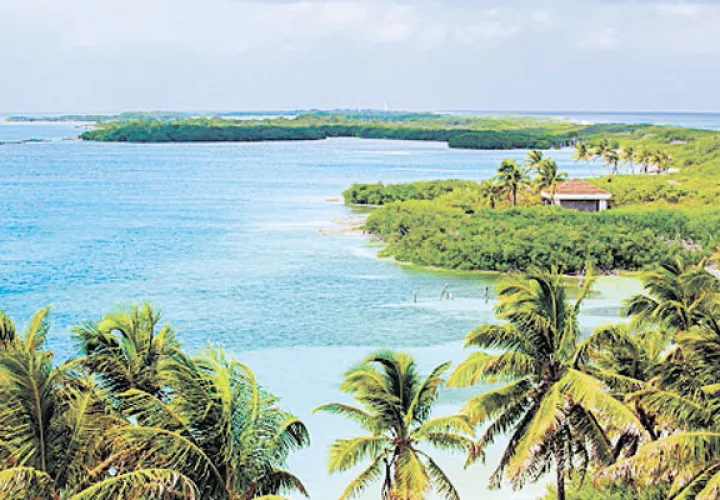 Contoy (México) es un santuario natural, con playas vírgenes  y una isla que aún no ha sido presa de las grandes cadenas hoteleras. 