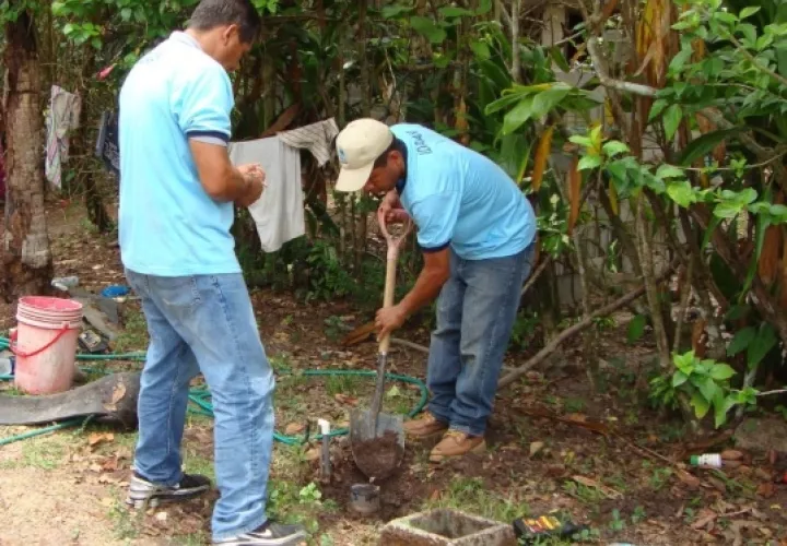 Datos de la entidad indican que este mes se realizarán unos 263 cortes en los distritos de Chitré, Ocú, Pesé y Santa María. Foto/Thays Domínguez