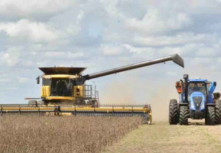 La producción de cereales, leguminosas y oleaginosas el próximo año supone un leve retroceso
