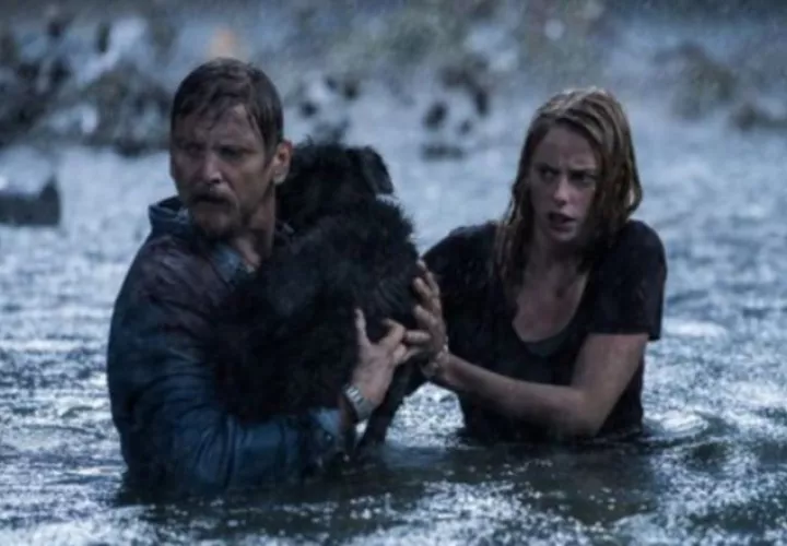 'Crawl'.