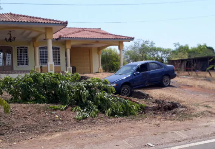 La conductora colisionó con un árbol.. Foto: Thays Domínguez.