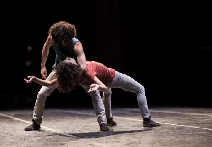 Forma parte del  Festival de Danza Contemporánea (PRISMA).