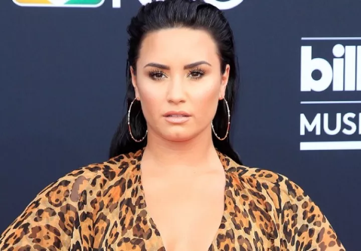 Cantante Demi Lovato. 