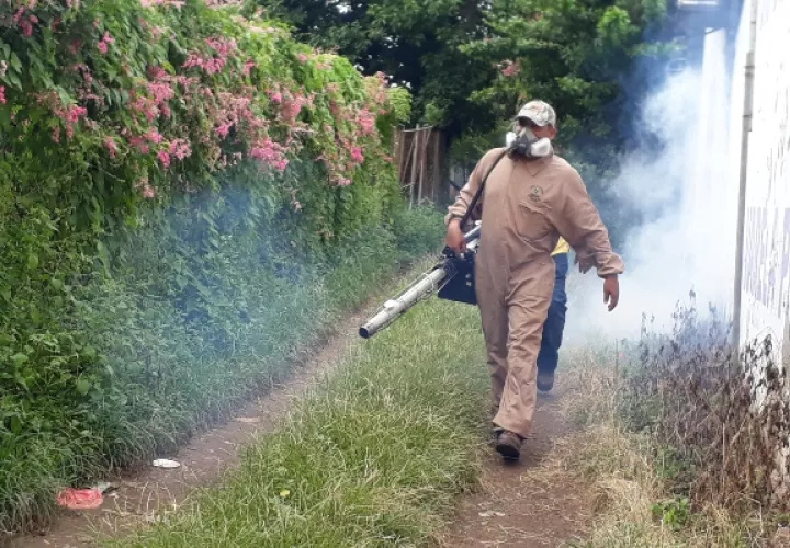 Laa autoridades de Salud han solicitado a la población acudir a recibir atención médica en caso de síntomas como dolor de cabeza agudo, fiebre, malestar general entre otros. Foto/Thays Domínguez