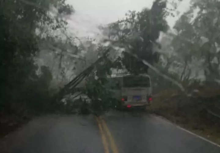 Los derrumbes se generaron debido a las constantes lluvias. Foto: José Vásquez.