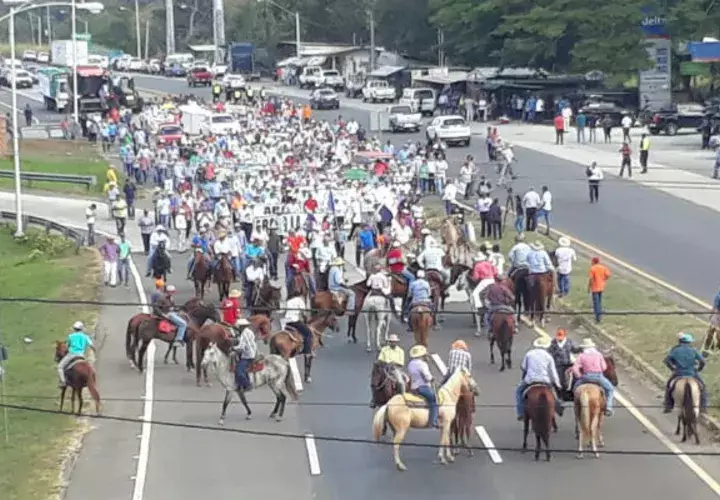  Todos los gremios del sector agropecuario de unieron en Divisa. Foto: Thays Domínguez.