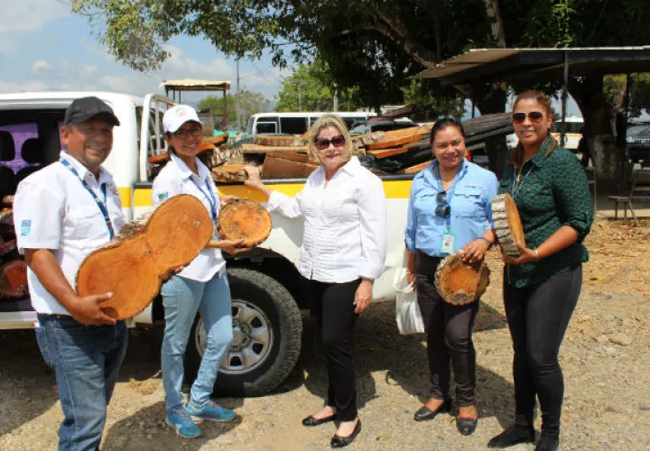 Entrega de materiales. Foto: Cortesía.