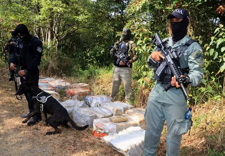 La droga fue ubicada en el área de San Pedro, en Cerro Azul. 