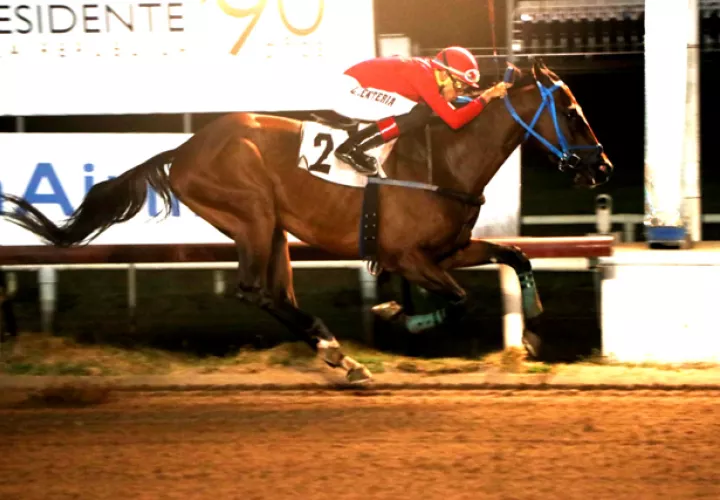 Duke Of Cana, que viene de ganar, hoy tratará de sorprender.