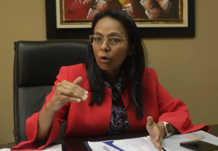 La secretaria técnica del Gabinete Social, Edith Castillo, habló sobre el programa Colmena.