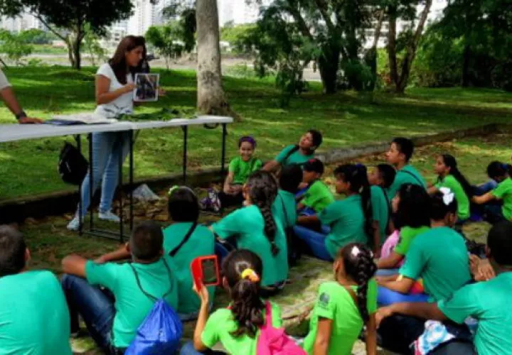 La educación ambiental sería incluida en los planes de estudios de escuelas públicas y particulares.