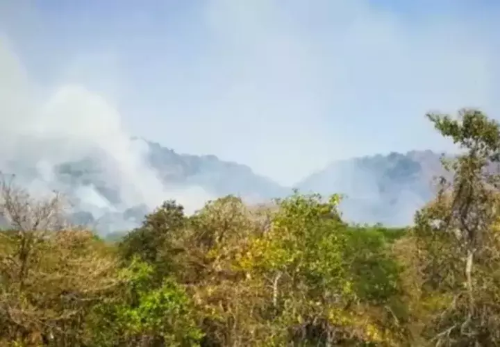 El jefe de los bomberos, Gonzalo Chang,  señala que los gastos de los bomberos para enfrentar los incendios de masas vegetal y bosques superan los 100 mil dólares. Foto/José Vásquez