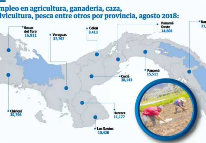 La crisis que enfrenta el sector agropecuario ha hecho que se pierdan plazas de empleo
