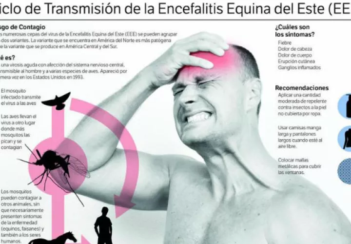 Ministerio de Salud declara alerta sanitaria por brote de Encefalitis Equina en Darién. Foto: Panamá América.
